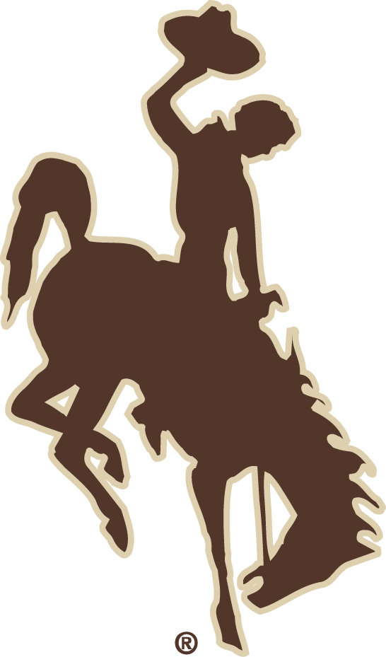 Wyoming Cowboys 2006-2012 Alternate Logo DIY iron on transfer (heat transfer)